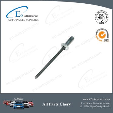 Rivets for Chery B11 and Eastar Body Luster B11-5300603