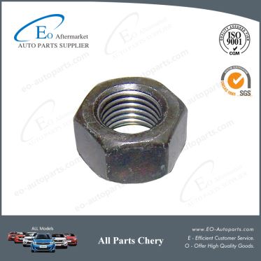 Standardized Parts Safty Belt Nuts for Chery B11 and Eastar B11-8212057